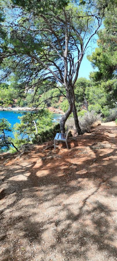 Studio Vue Mer Bandol Exterior foto